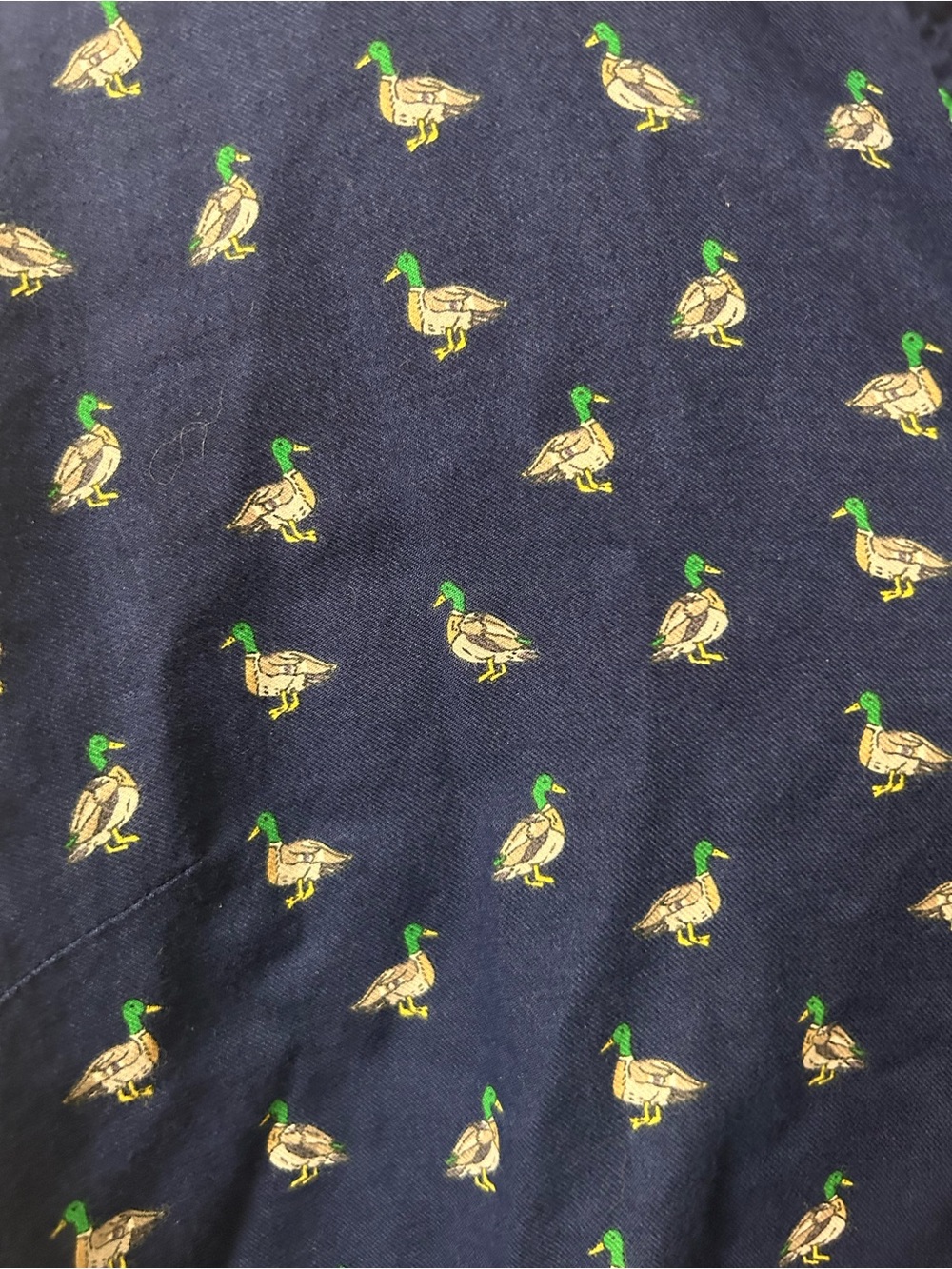 Women’s Mallard Duck Button-up Top from Talbots in a Large (10/12) Autumn Fall